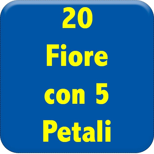 20-fiore-5-petali
