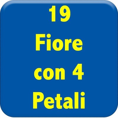 19-fiore-4-petali