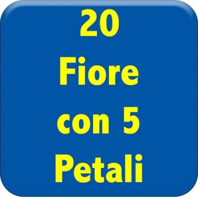 20-fiore-5-petali