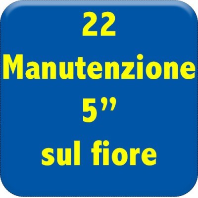 22-manutenzione-5-sul-fiore