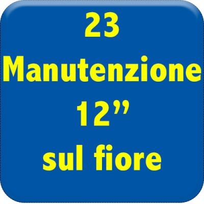 23-manutenzione-12-sul-fiore