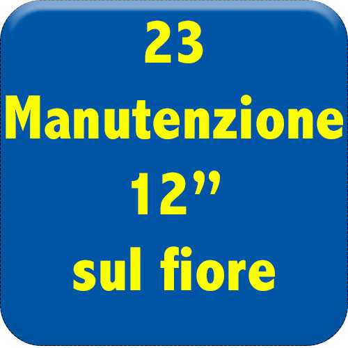 23-manutenzione-12-sul-fiore