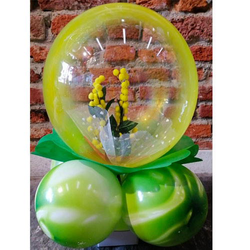 bubble-mimosa-finito