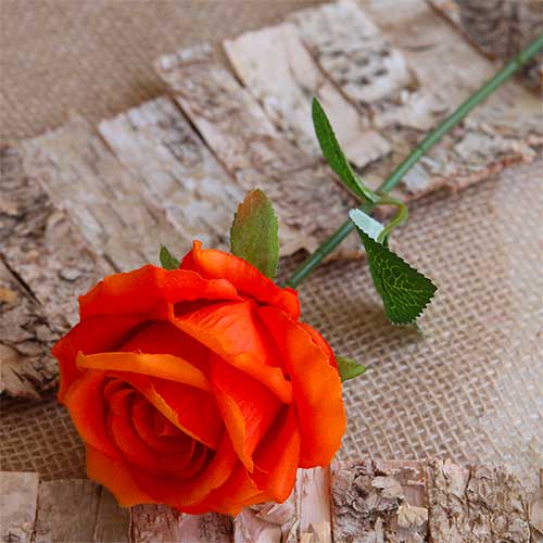 rosa-arancione