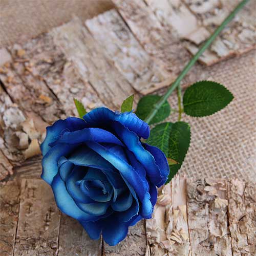 rosa-blu