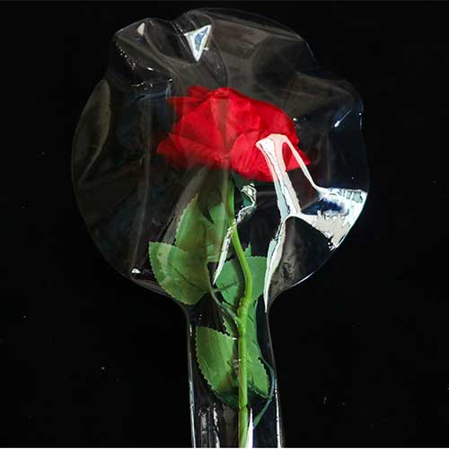 rosa-nel-pallone