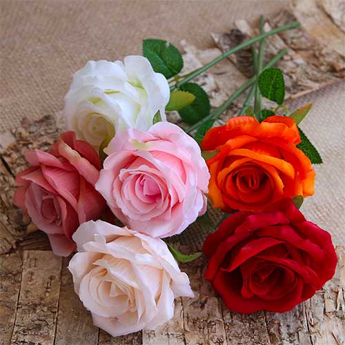 rose-assortite