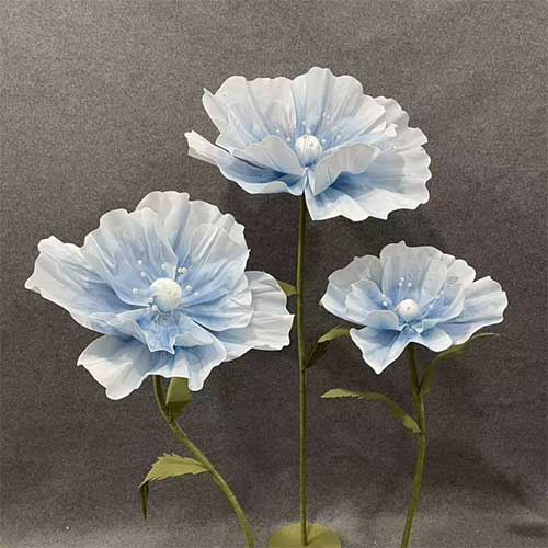 anemone-azzurra