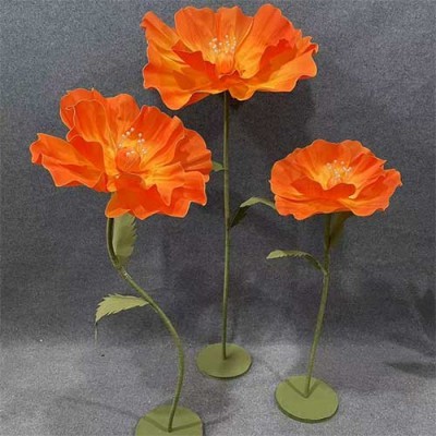 anemone-arancione