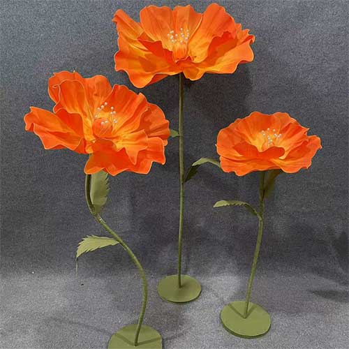 anemone-arancione