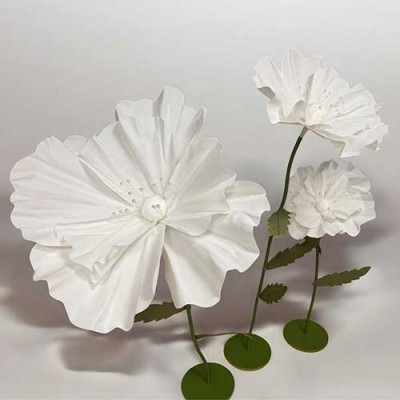 fiori-bianchi
