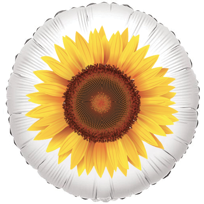 girasole