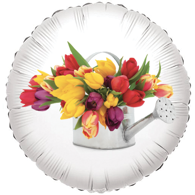 tulipani