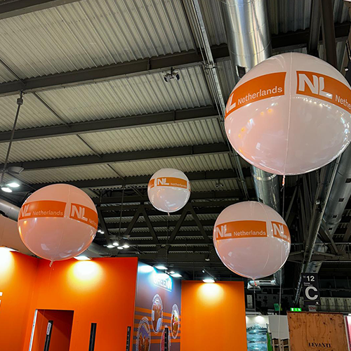 4d-nl