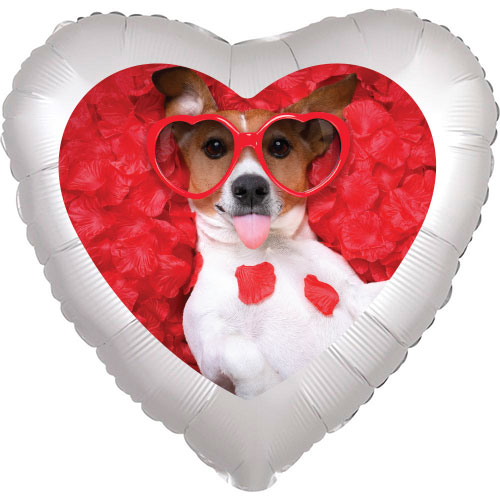 1301-1455-cane-cuore