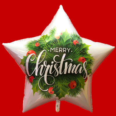 marry-christmas-2