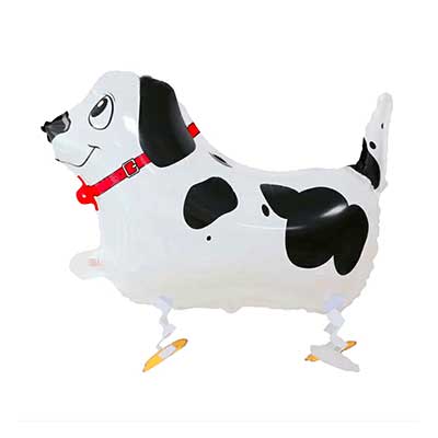 pet-cane2