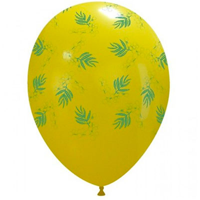 mimosa-globo