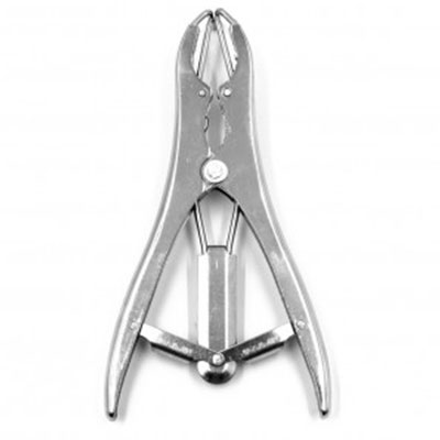 pinza-990446